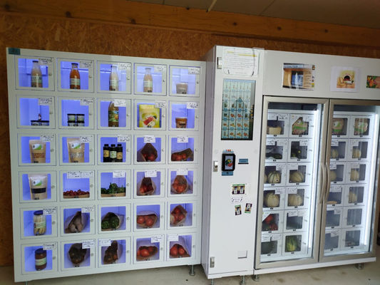 เครื่องขายขนมปังที่สามารถปรับแต่งได้ 110V/220V-240V สําหรับการแบรนด์ขนมปัง