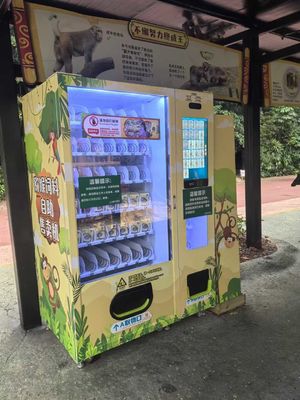เครื่องขายอาหารสัตว์กรอบโลหะที่สะดวกสบาย สําหรับความจุสูงและการเติมเต็มที่น่าเชื่อถือ